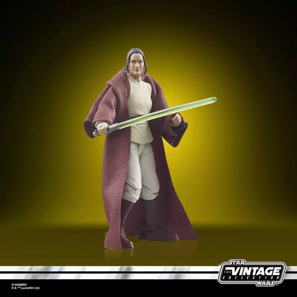 Star Wars The Vintage Collection Jedi Master Indara 3 3/4-Inch Action Figure